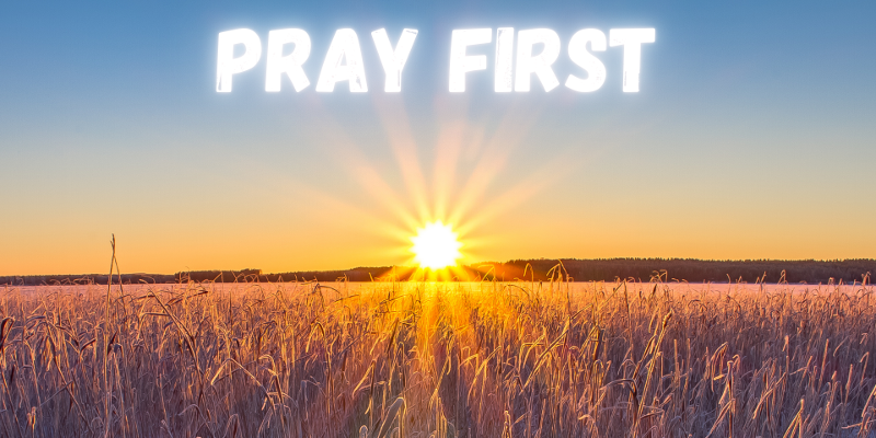 Photo - Pray first cornfield